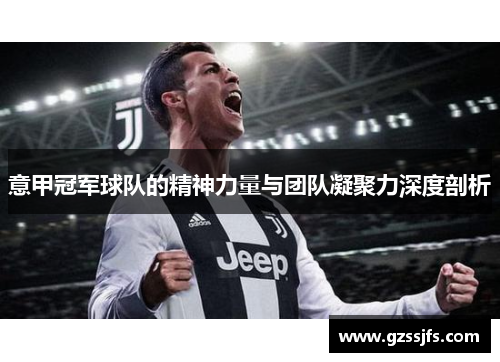 意甲冠军球队的精神力量与团队凝聚力深度剖析