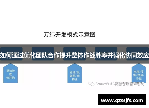 如何通过优化团队合作提升整体作战胜率并强化协同效应
