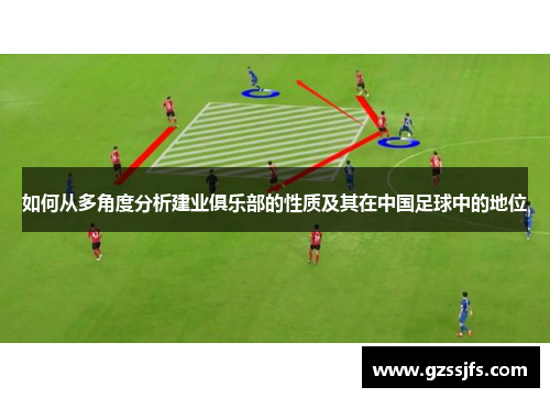 如何从多角度分析建业俱乐部的性质及其在中国足球中的地位