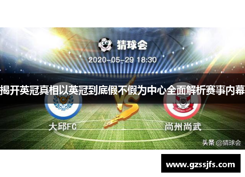 揭开英冠真相以英冠到底假不假为中心全面解析赛事内幕